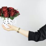 Everything You Need to Know About Chrysanthemums