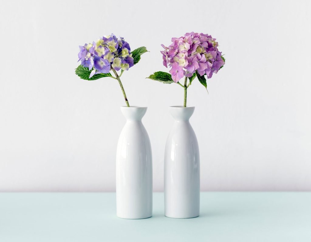 8 Facts You Didn’t Know About Sunflowers