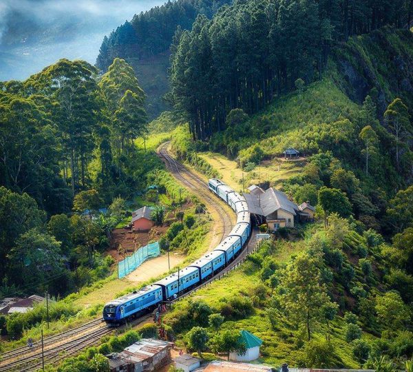 Top 8 Amazing Places to Stay in California
