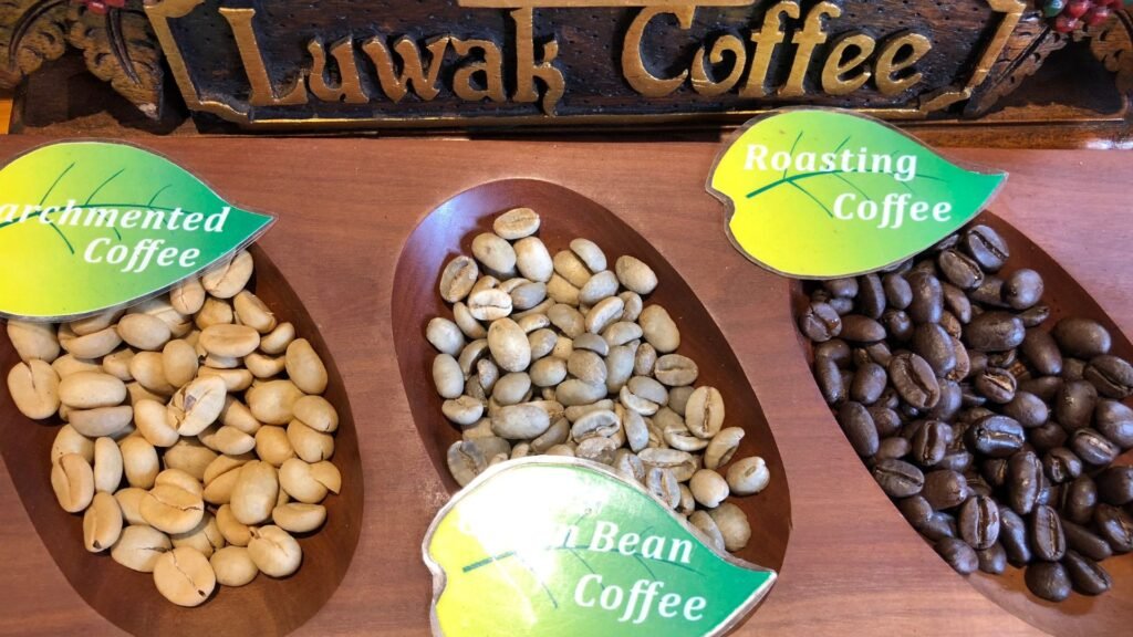 pawon luwak coffee borobudur