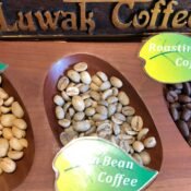 pawon luwak coffee borobudur