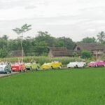 Sewa VW Borobudur untuk wisata lokal dan UMKM